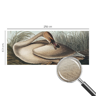 3D photo wallpaper mural with a natural bird motif