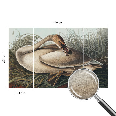 3D photo wallpaper mural with a natural bird motif