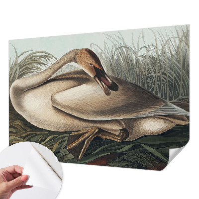 3D photo wallpaper mural with a natural bird motif