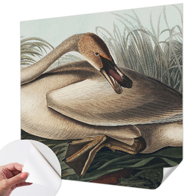 3D photo wallpaper mural with a natural bird motif