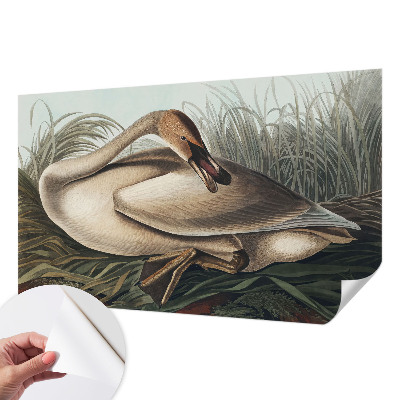 3D photo wallpaper mural with a natural bird motif