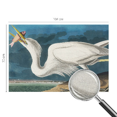 Removable wall mural with a bird holding a fish design