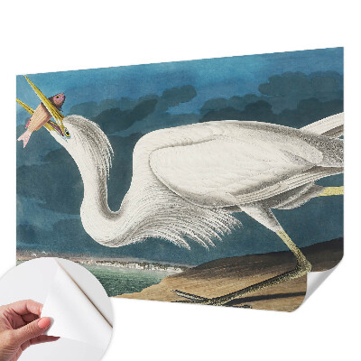 Removable wall mural with a bird holding a fish design