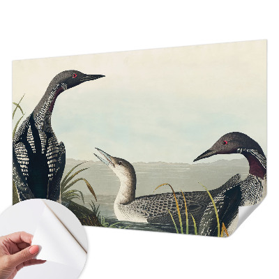 Children's wall mural Birds over the water