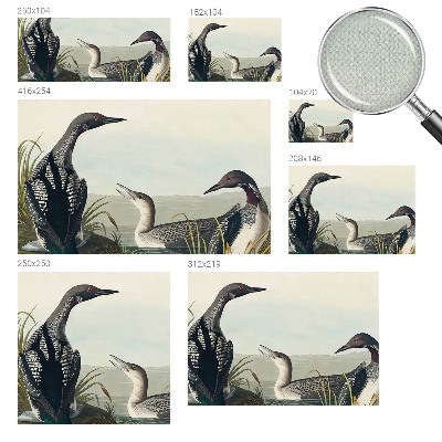 Children's wall mural with a motif of birds flying over water