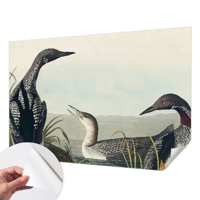 Children's wall mural with a motif of birds flying over water
