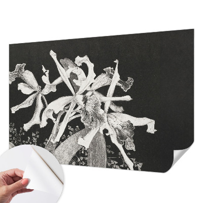 Baby room wall mural with an orchid illustration