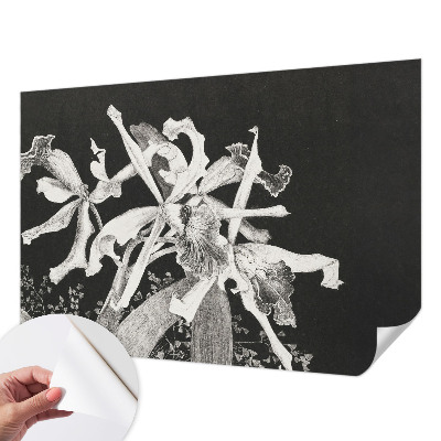 Baby room wall mural with an orchid illustration