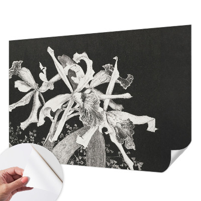 Baby room wall mural with an orchid illustration
