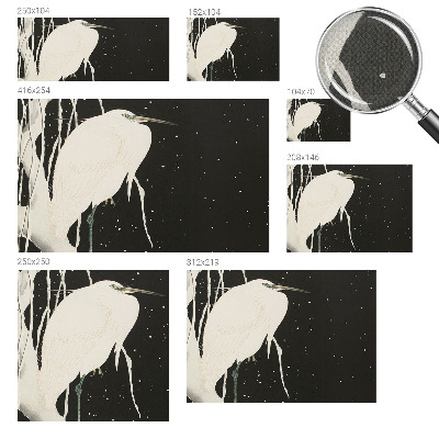 Peel and stick wall mural with a winter bird design