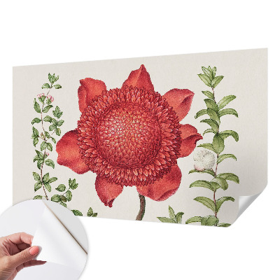 Peel and stick wall mural for bedroom Floral elegance