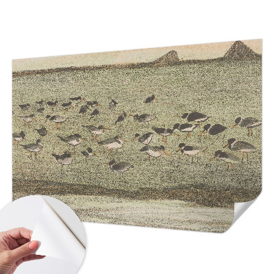 Peel and stick wall mural for kids' room featuring a bird motif titled 