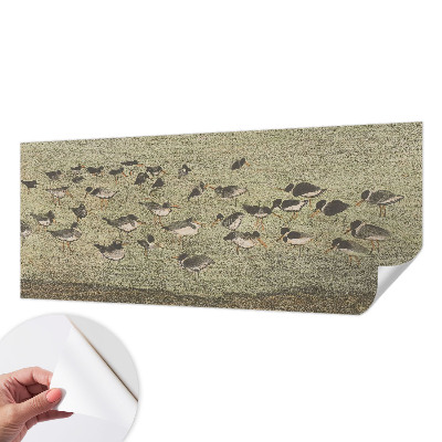 Peel and stick wall mural for kids' room featuring a bird motif titled 