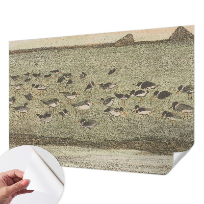 Peel and stick wall mural for kids' room featuring a bird motif titled 