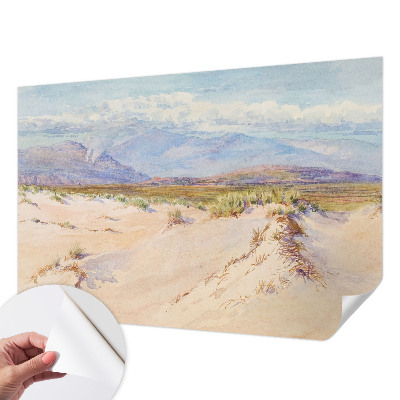 Children's wall mural with a desert landscape design
