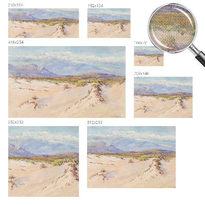 Children's wall mural with a desert landscape design