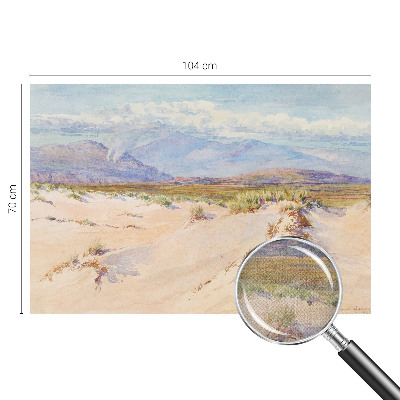 Children's wall mural with a desert landscape design