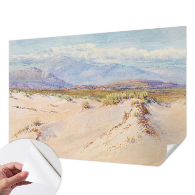Children's wall mural with a desert landscape design