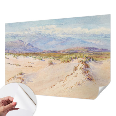 Children's wall mural with a desert landscape design