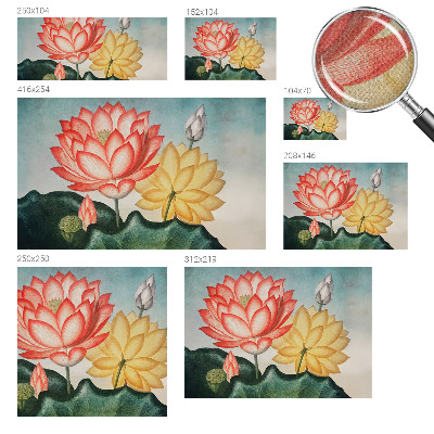 Peel and stick wall mural Lotus flowers