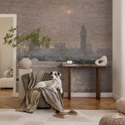 Peel and stick wallpaper mural with a night city panorama