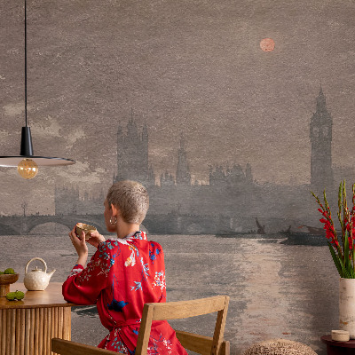 Peel and stick wallpaper mural with a night city panorama