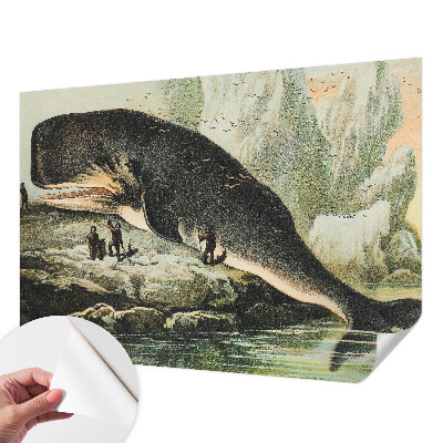 Peel and stick wall mural with a sea gigantism design