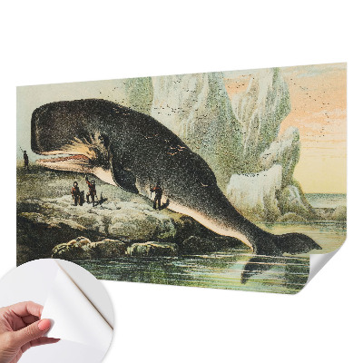 Peel and stick wall mural with a sea gigantism design