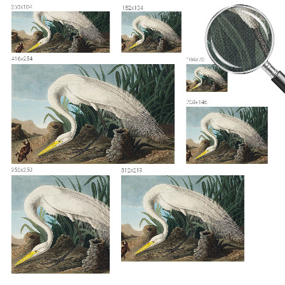 Removable wall mural Majestic heron