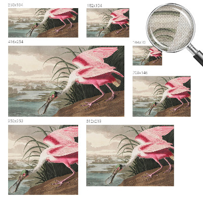 Removable wall mural wallpaper with an exotic bird design