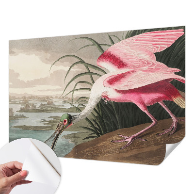 Removable wall mural wallpaper with an exotic bird design
