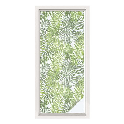 Patterned window film Plant patterns