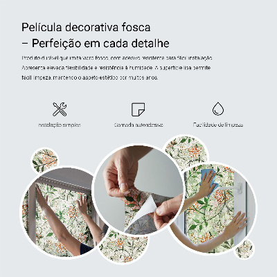 Patterned window film Floral elegance