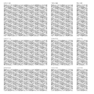 Privacy window film Floral elegance