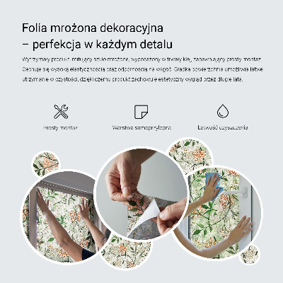 Patterned window film Folkloric patterns