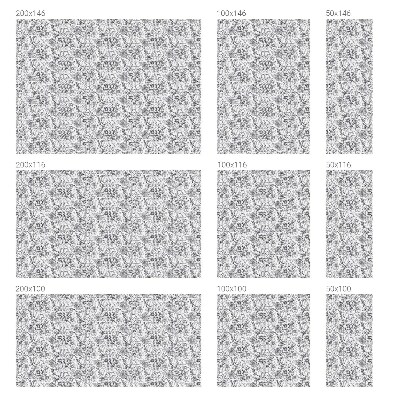 Privacy window film Floristic elegance