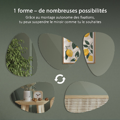 Organic shaped mirror stylish accessory