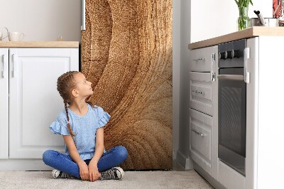 Decoration fridge cover Wood section