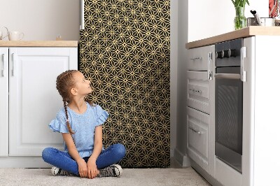 Magnetic fridge cover Bones and points