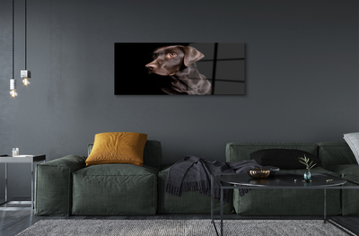 Acrylic print Brown dog