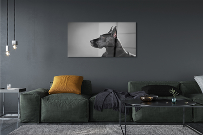 Acrylic print Black dog