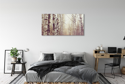 Acrylic print Trees