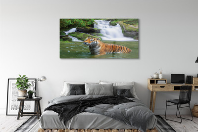 Acrylic print Falling water tiger