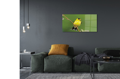 Acrylic print Yellow parrot