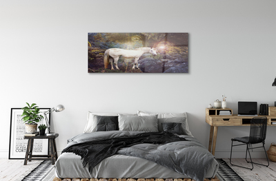 Acrylic print Unicorn in the forest