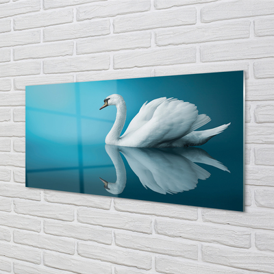 Acrylic print Swan in the water