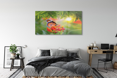 Acrylic print Flowers colorful butterfly