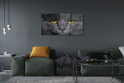 Acrylic print Black cat