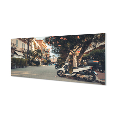 Acrylic print City bikes summer palm