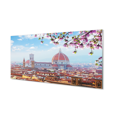 Acrylic print Italy cathedral panoramic night